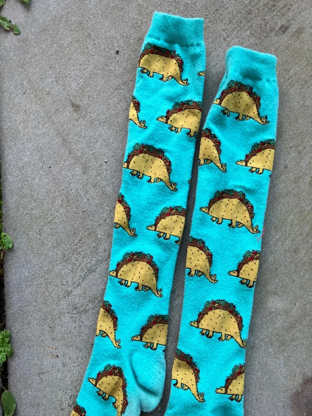 Kids Taco Socks Turquoise Novelty Food Knee Hi Socks